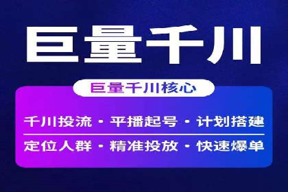 谷歌竞价案例：快速提升品牌影响力的广告策略